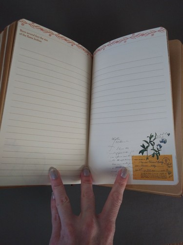 Neue leere Zeitschriften, Multilisting, Sie wählen - Bild 23 von 43