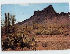 Postal Picacho Peak, Picacho, Arizona