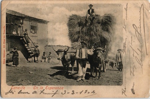 Spain 1904 postcard vintage Tenerife En la Esperanza (1386) - Picture 1 of 2