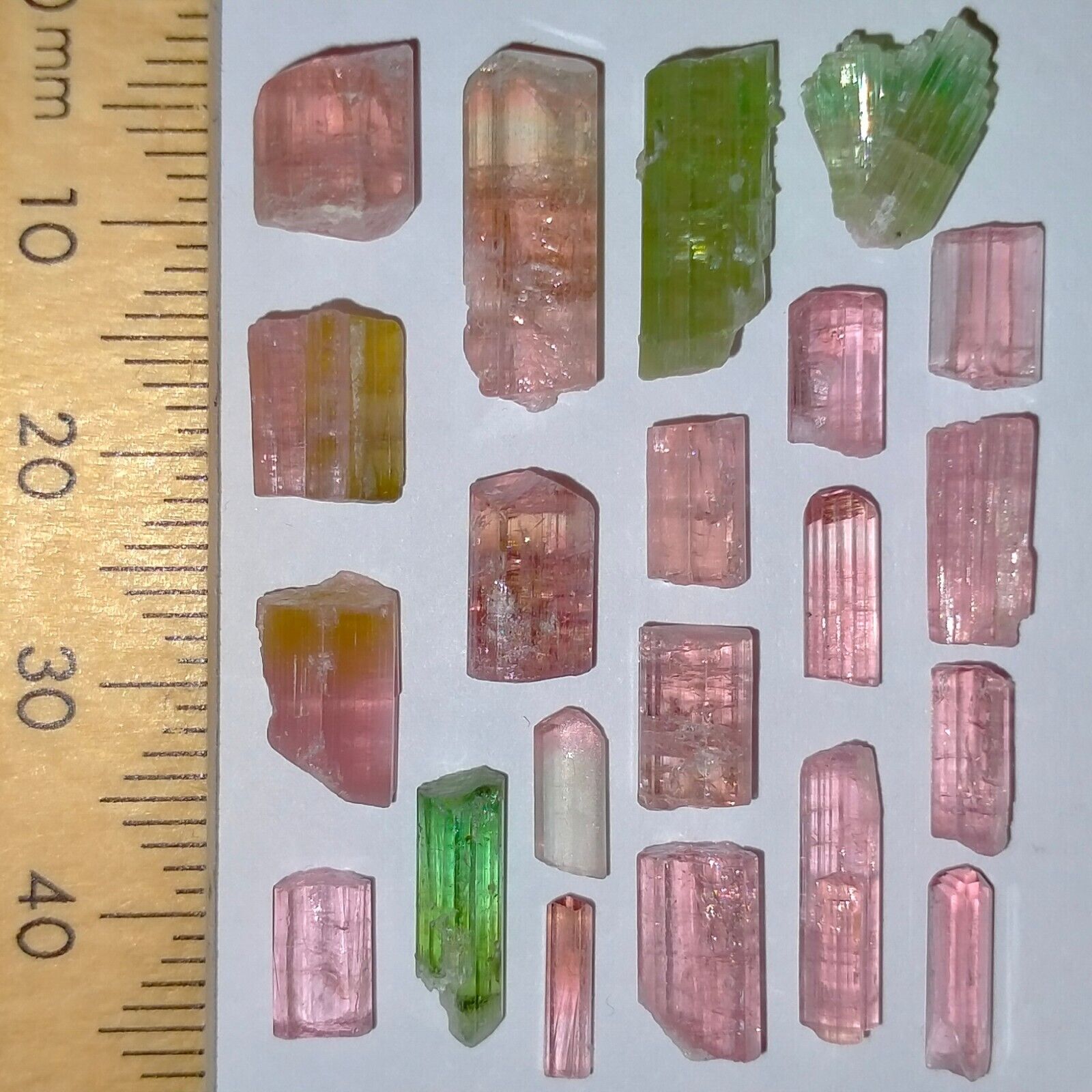 Foto 1 di 6
