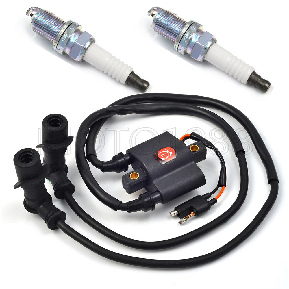 Polaris SPORTSMAN 500 Stator Ignition Coil & Spark Plug For - Foto 8