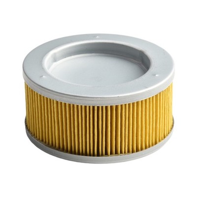 Essential Ersatz Luftfilter für Rucksackgebläse Modellserie B300 B400
