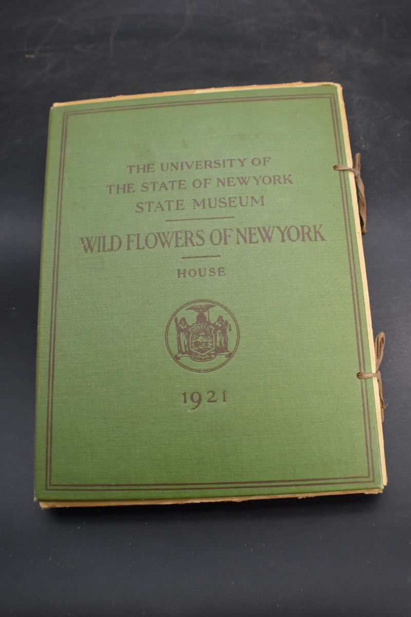 1921 Wildflowers of New York *COLORED PLATES* | eBay 1921 Wildflowers of New York *COLORED PLATES* | eBay