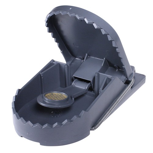 Casetta Per Roditori Kerbl XL - 59x39x30cm, Legno Di Pino, Con Tetto In Bitume - Foto 7