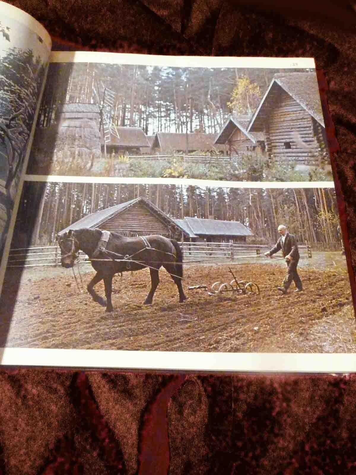 Picture 6 of 9