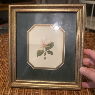 Vintage French White Tulip Flower Picture In Frame Shabby Chic Botanical Used