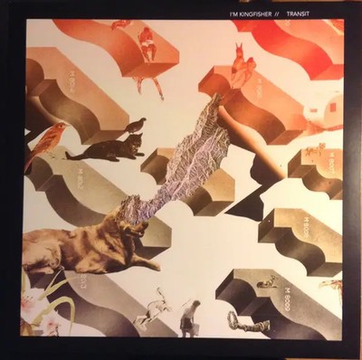 Im Kingfisher Transit NEAR MINT Fading Trails Recordings Vinyl LP