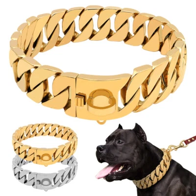 BERRY-PET Hundehalsband Kettenhalsband 3cm Breit Metall Hund Halsband Pitbull Bulldog Gold