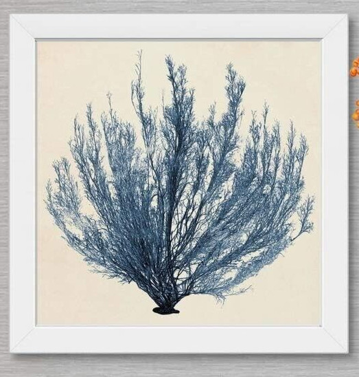 Coastal Seaweed III Canvas Wall Art Shadow Box, Sea Life Home Decor