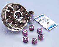 241.606 VARIATORE POLINI HONDA PANTHEON 125 150 2T - Foto 1 di 1