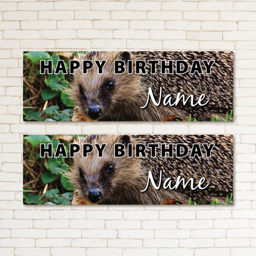 2 Personalised Hedgehog Birthday Banner Kid & Adult Party Decoration Decor - Picture 1 of 2