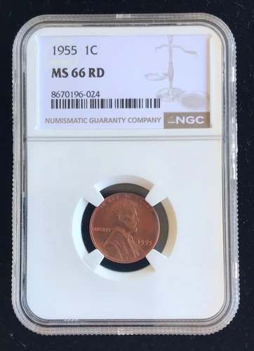 1955 LINCOLN CENT ~ NGC MS 66 ~ RED ~ BROWN LABEL ~ WHEAT CENT ~ BOLD & BRIGHT