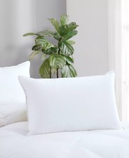 Avocado luxury Down Filled Queen Pillow 100 Cotton Cover 600 Fill Power - 245