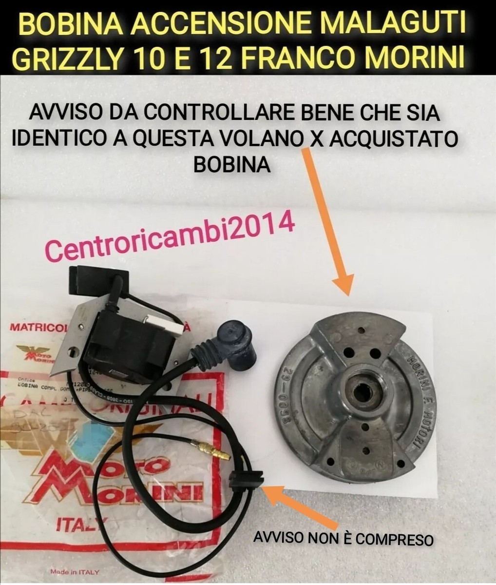 Bobina Accensione Motozappa E Turbina Efco- Di Spina Gianvito - Foto 7