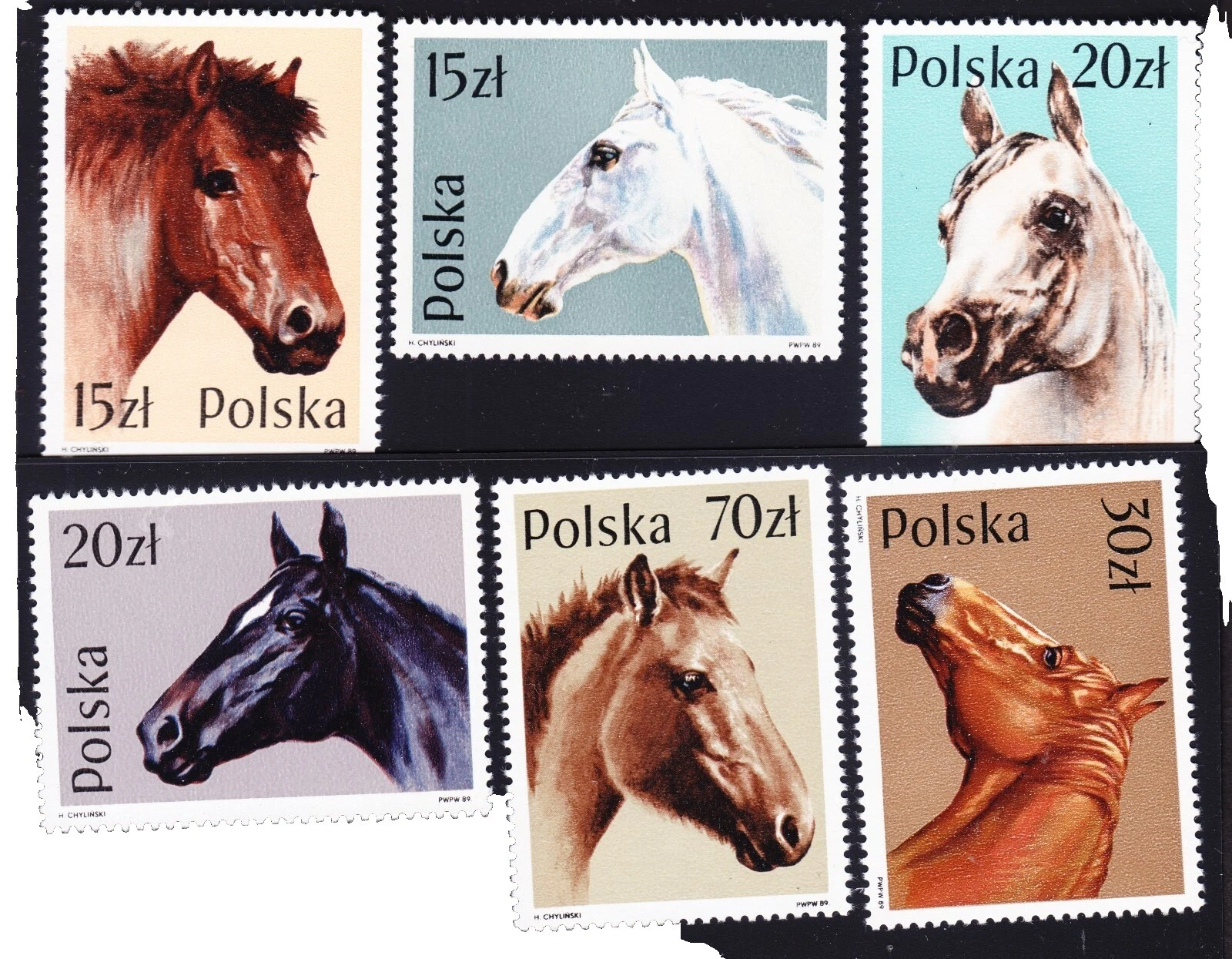 马匹完好未铰边/全新邮票波兰邮票