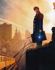 EDDIE REDMAYNE signed Autogramm 20x25cm BEASTS POTTER in Person autograph COA