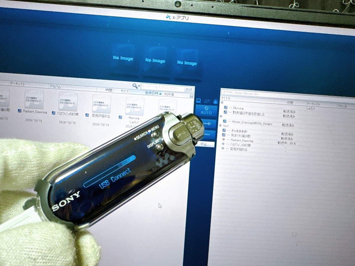 SONY WALKMAN NW-E405 オーシャンブルー Sony NW-E405 Network