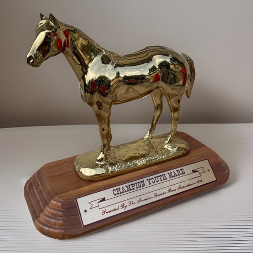 American Quarter Horse Association Trophy,  1984 San Antonio Tx, Youth Mare