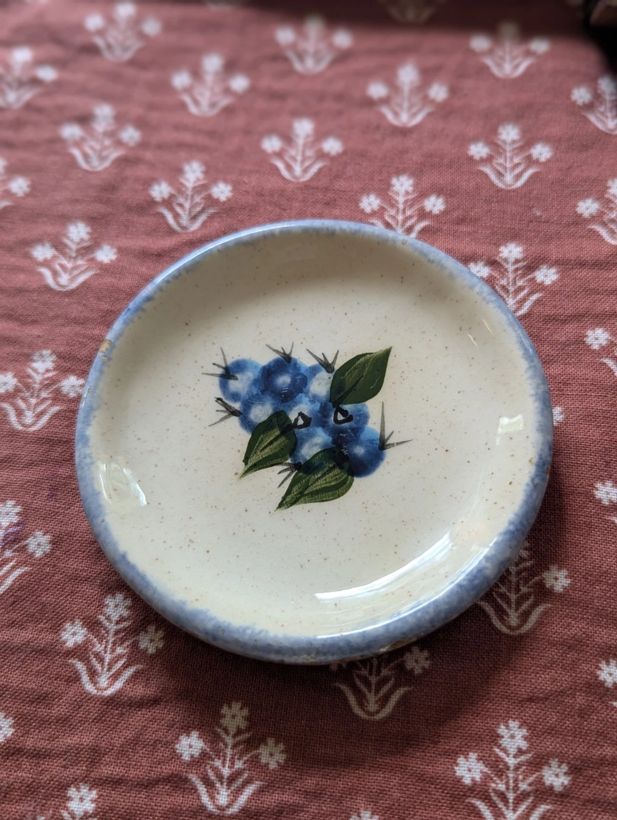Vintage Blueberry Speckled Butter Pat Blue Rim
