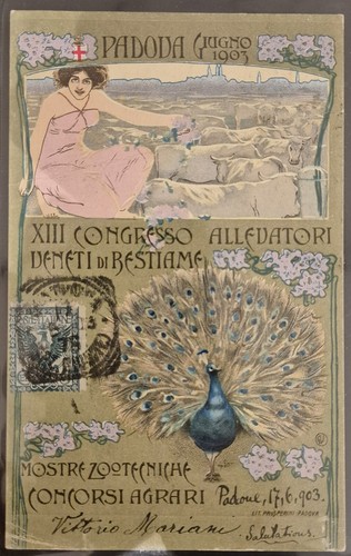 1903 - Padova - XIII Congresso Allevatori Veneti Bestiame - 第 1/1 張圖片