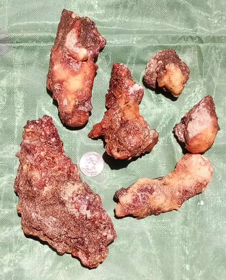 Piñon Pine Tree Sap/Resin/Pitch 'Seconds', from SW New Mexico W/Bark on Multiuse - Image 4 of 4