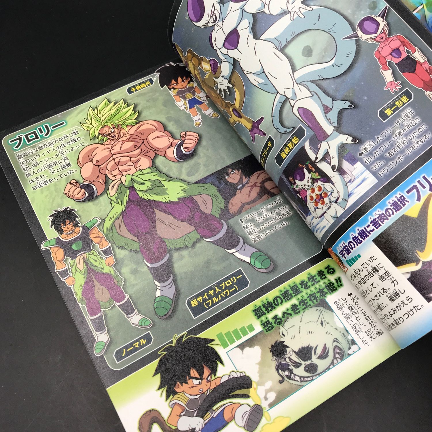 Dragon Ball Super Movie Broly Ani-Manga Anime Manga Book Japanese