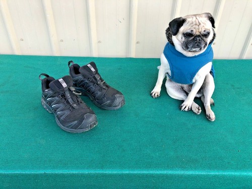 salomon men's xa pro 3d cs wp trail running shoes