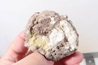 Oregon Richardson Ranch Thunderegg Lapidary 1 lb 11 oz. rough Lot #E10 — photo 7