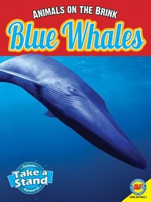 Blue Whales Hardcover Patricia Miller-Schroeder