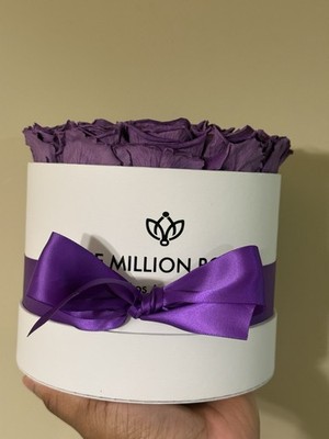 The Million Roses 