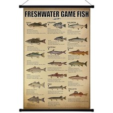 Vintage Poster Wall Decor Mallard Ducks Hunting Art Knowledge Picture Fish