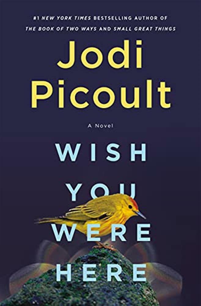 Wish You Were Here: A Novel - Picoult  Jodi