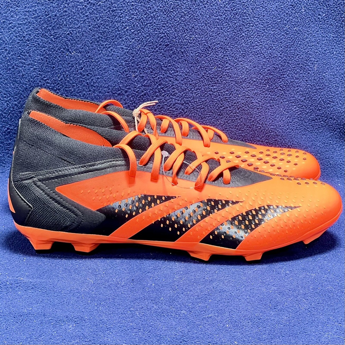 GNアンブリフォルスブースター&アンブリフォルスコンサントレ sf1fib8_g01_960x960.jpg