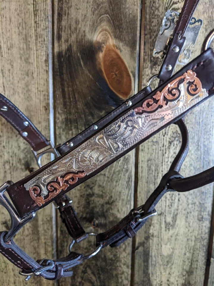 Halter Silver Show - Aceite oscuro - Acentos de plata y cobre - Tamaño caballo - Vástago de plomo Foto 3 de 4