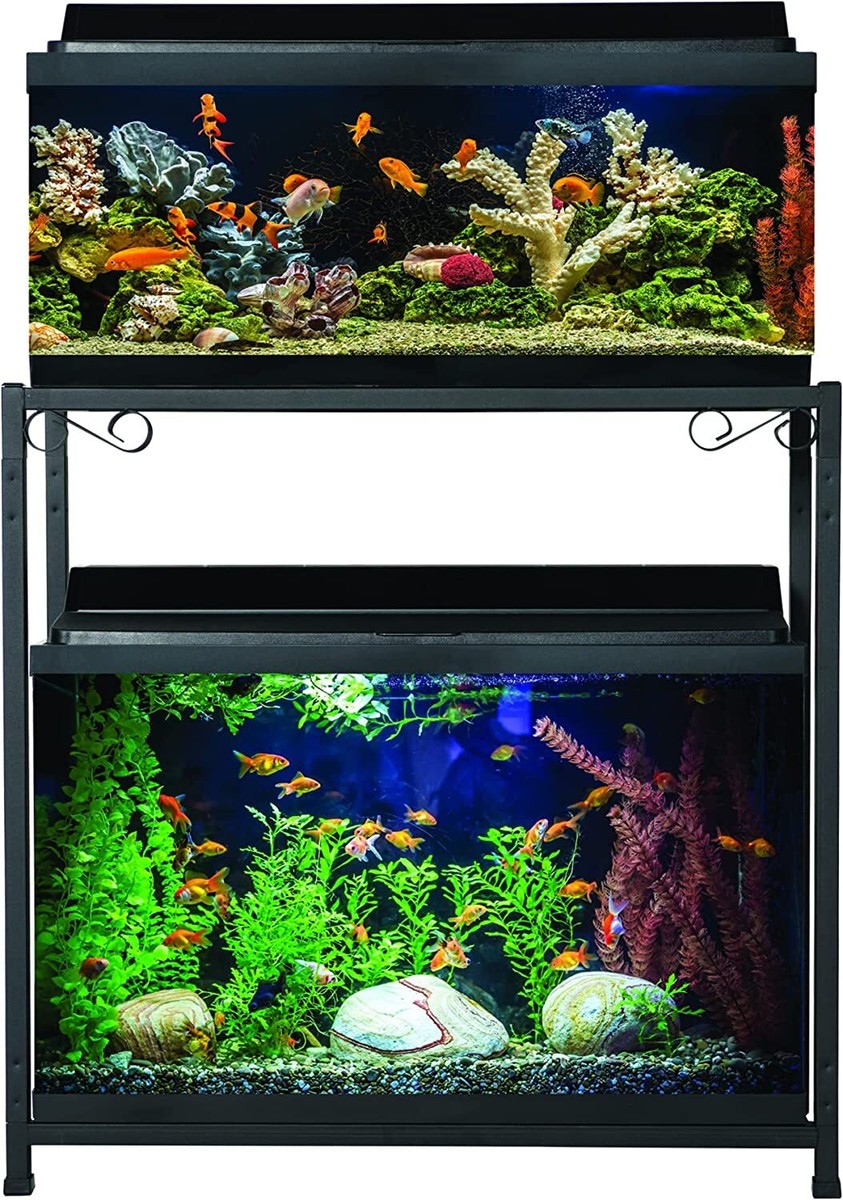 10 Gallon Home Aquariums