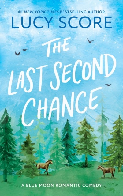 Last Second Chance - Image 4