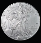2007 American Silver Eagle 1oz .999 Fine Silver