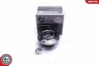 Esen SKV Radlagersatz Hinten U.A. FüR Alfa Romeo, Fiat, Lancia