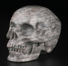 2.0" Crocodile Jasper Carved Crystal Skull, Realistic, Crystal Healing