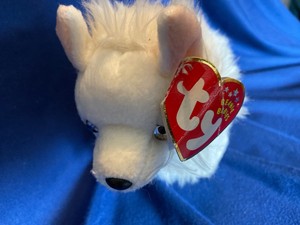 snocap beanie baby