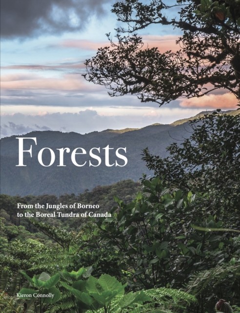 Forests by Kieron Connolly (Hardback Book)
