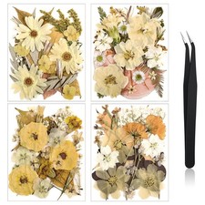 Nuanchu Pressed Flowers Bulk Dried Flower for Crafts, Warm Color