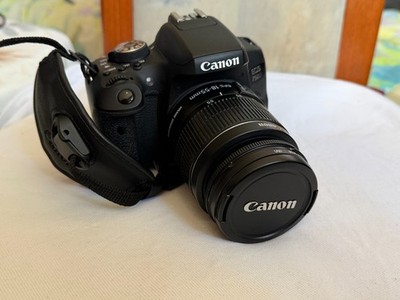 Canon EOS 750D mit EF-S 18-55 IS STM + OVP + 11.766 Auslösungen