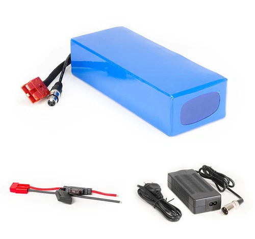 Lithium-Ionen Akku 24V 25Ah 600Wh Akkupack E-Scooter E-Bike Pedelec Battery 60A