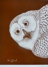 LITOGRAFÍA DE PÁJARO FIRMADA A MANO DALE HAUCK SCREECH OWL 72 listada artista estadounidense