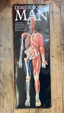 Dimensional Man - Anatomical 6ft Card Pop-Up Human Body -Johnathan Cape- Sealed
