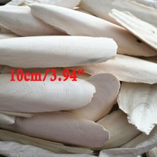 10PC 3.94" Bone Sepia Cuttle Fish Bird Foods Calcium Cuttlebone Cuttlefish