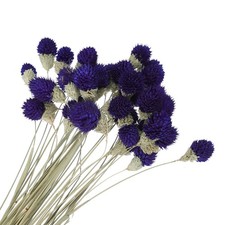 Getrocknete Blumen f&uuml;r die Vase, 16" Mini-Kiefernkugeln, Dunkelviolett, 30 St&uuml;ck