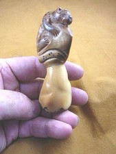 TNE-LEO-426A) Leopard Wild TAGUA NUT palm Figurine love leopards big cat