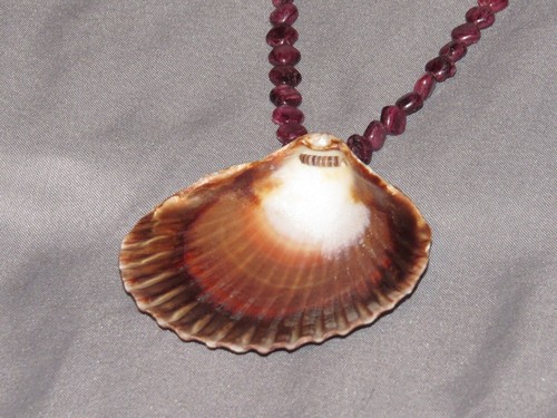 Purple Spiny Oyster Shell Necklace 17" with Oyster Shell - Picture 3 of 5